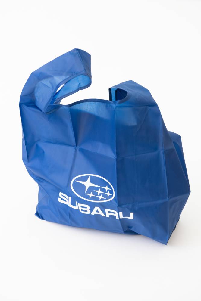 Juerg_Siegrist_Holding_AG_Falttasche mit Druck_Subaru