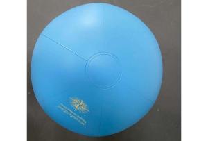 aufblasbarer-40cm-wasserball-bedruckt-juerg-siegrist-ag