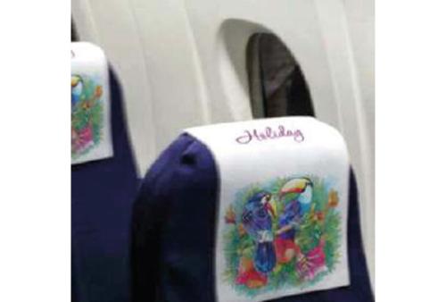 bezug-für-kopflehne-beim-reisen-bedruckt-juerg-siegrist-ag