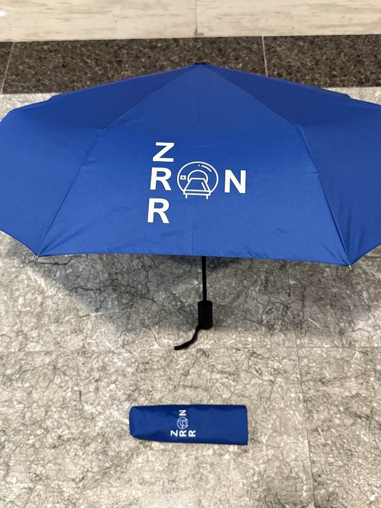 Taschenschirm bedruckt und mit Automatiköffnung – Juerg Siegrist AG Werbeartikel